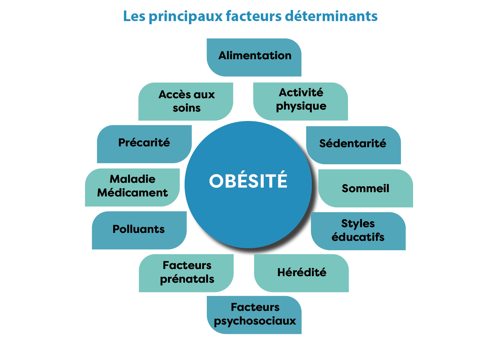 Schéma maladie multifactorielle